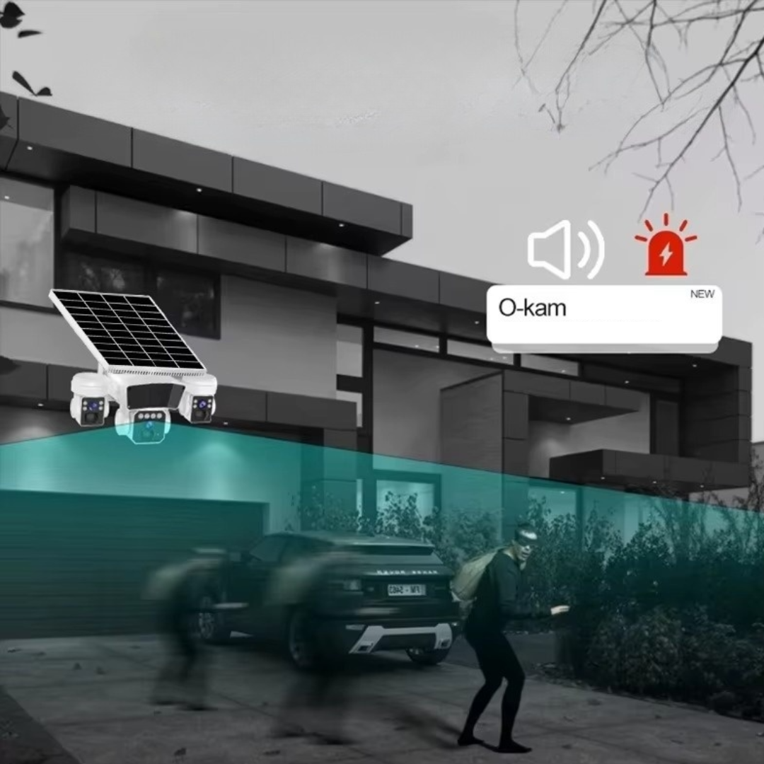 c48a4106-fec5-4342-a299-a80ade710c1d_3